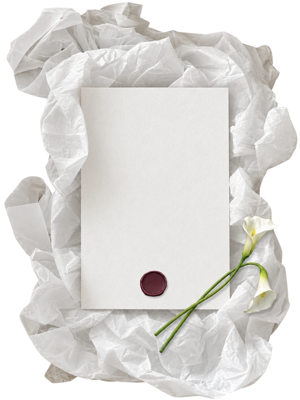 Carta marfil sobre papel de seda, con calas y sello granate